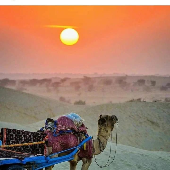 Neem Guest House Jaisalmer Esterno foto